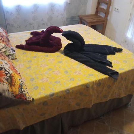 Apartamento Maite Гвардамар-дель-Сегура Номер фото